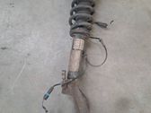 Front shock absorber/damper