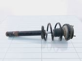Front shock absorber with coil spring