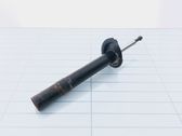 Front shock absorber/damper
