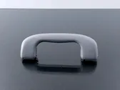 Rear interior roof grab handle