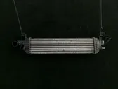 Intercooler radiator