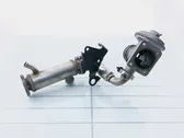 EGR valve