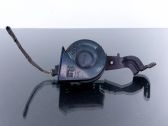 Horn signal
