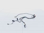 Other wiring loom