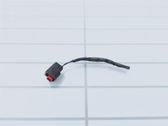 Other wiring loom