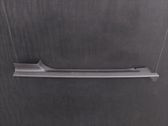 Rear sill trim cover