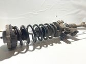 Front shock absorber/damper
