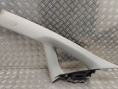 (A) pillar trim