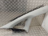(A) pillar trim