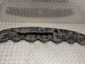 Front bumper skid plate/under tray