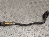 Sonde lambda