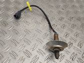 Sonde lambda