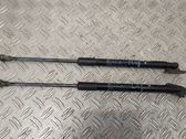 Tailgate/trunk strut/damper