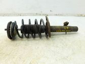 Amortiguador delantero con muelle espiral