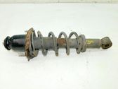 Amortiguador trasero con muelle espiral