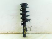 Front shock absorber with coil spring