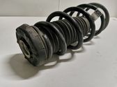 Front coil spring