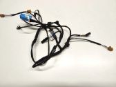 Front door wiring loom