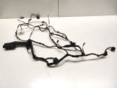 Front door wiring loom