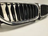 Front bumper upper radiator grill