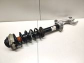 Front shock absorber/damper