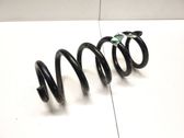 Front coil spring