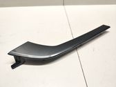 Front door trim (molding)