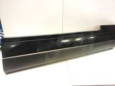 Front door trim (molding)