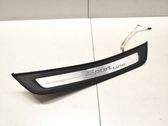 Rear sill trim cover