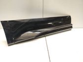 Rear door trim (molding)