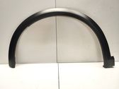Fender trim (molding)