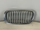 Front bumper upper radiator grill