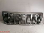 Front bumper upper radiator grill
