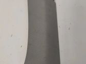 (C) pillar trim