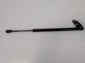 Front bonnet/hood damper/strut
