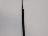 Front bonnet/hood damper/strut