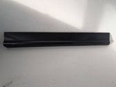 Front door trim (molding)