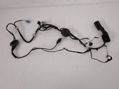 Front door wiring loom