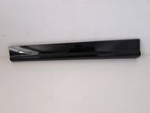 Front door trim (molding)
