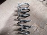 Front coil spring