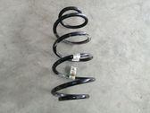 Front coil spring
