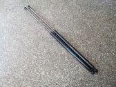 Tailgate/trunk strut/damper