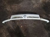 Front bumper upper radiator grill