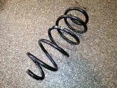 Front coil spring