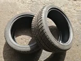 Neumático de invierno R19