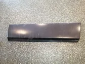 Rear door trim (molding)