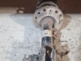 Front shock absorber/damper