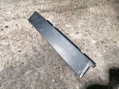 Rear door trim (molding)
