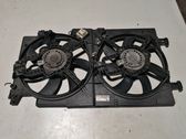 Fan set