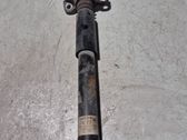 Rear shock absorber/damper